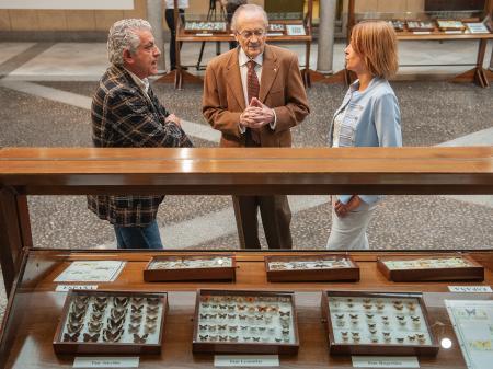 Imagen Las mariposas del mundo toman el Patio de Columnas de la Diputación de Segovia con una exposición de casi novecientos ejemplares de los más espectaculares